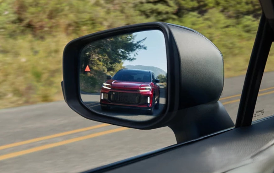 Blind Spot Monitor (BSM)